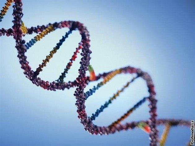 1) SPECIFICKÉ STVOŘENÍ Lidský genom 3,2 mld párů bází, 25.000 genů, 99,9% DNA je totožná u všech lidí, individuální variabilita je 0,1%, funkce 13.000 genů je zatím neznámá.
