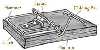 1) SPECIFICKÉ STVOŘENÍ Irreducible complexity (nezjednodušitelná komplexnost,