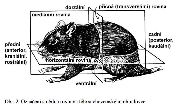 Směry a