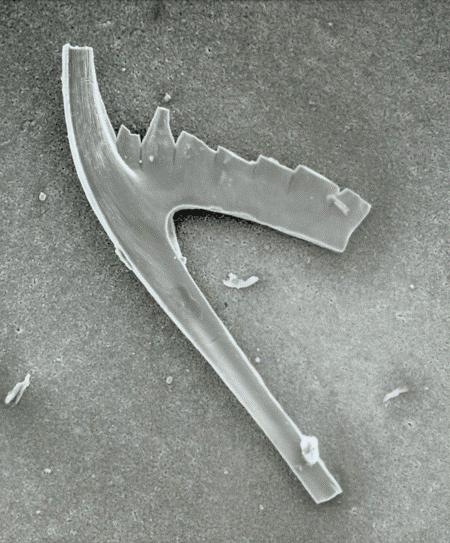 Silurian  