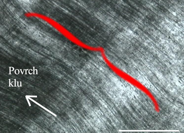 vzoru: X vlnová dĺžka: 392-650 µm