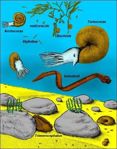 stenohalinní prostředí, geografické rozšíření mluví pro kosmopolitní sklony.