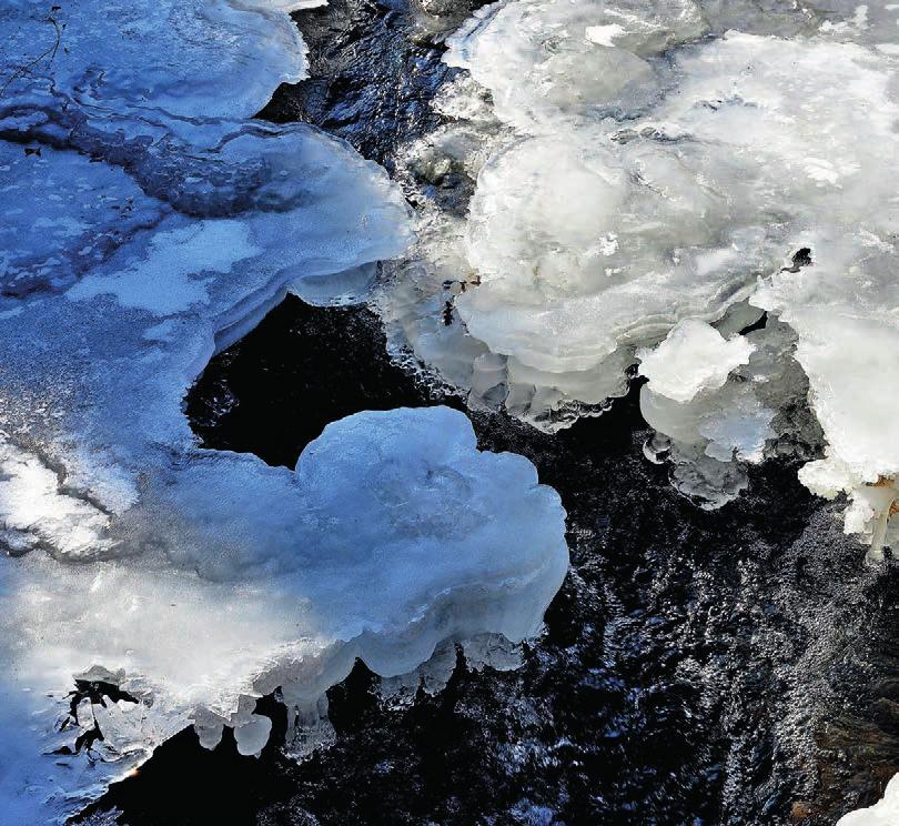 3/2018 Jaro je za dveřmi, ledy pukají Téma: kapacita školy