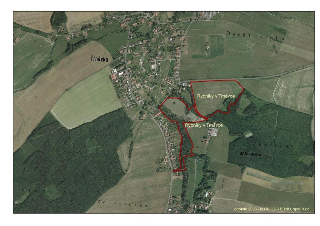 Mapa č. 2: Ortofotosnímek území PR Rybníky v Trnávce a okolí.