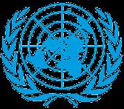 konzultační činnost E C O S O C United Nations Od roku 2012 má České velkopřevorství Řádu sv.