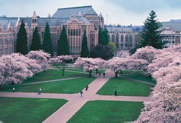 Anglii 1960 1964 research associate, University of