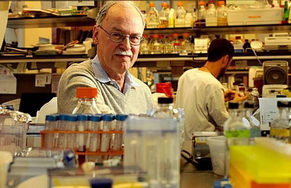 Ocenění za biologii 1984 - National Science Foundation Young Presidential Investigator Award 1987 - Schull Award, American Society of Plant Physiologists 1991 - Elected Fellow of The Royal Society