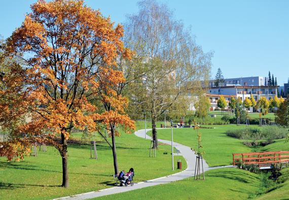 10 Programové prohlášení Splněný bod Programového prohlášení Rady města Frýdku-Místku V oblasti životní prostředí: Vystavíme arboretum u hospice Už když Statutární město Frýdek-Místek postavilo