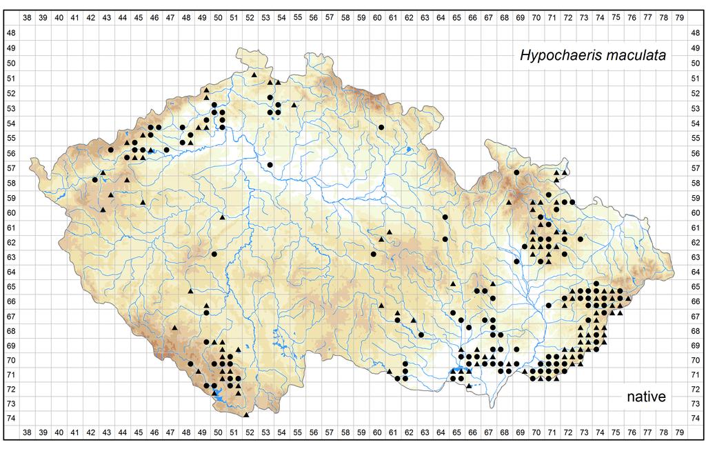 Distribution of Hypochaeris maculata in the Czech Republic Author of the map: Jitka Štěpánková Map produced on: 06-02-2017 Database records used for producing the distribution map of Hypochaeris