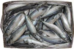 7. gastro nabídka červenec -srpen 1. 7. - 20. 8.