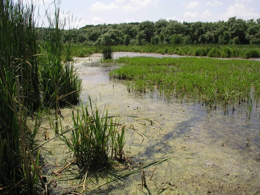 3. metody odběru vzorků odběr makrozoobentosu - kvalitativní