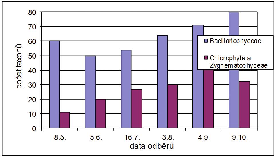 Nejhojnější ve Fryšávce byly rozsivky a zelené řasy se spájivkami. Přehled o počtech jejich taxonů je uveden na obr. 3. a 4.