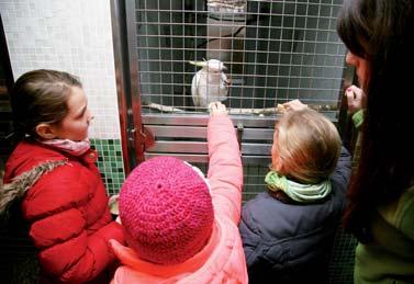 Letní měsíce, červenec a srpen pak patří v Papouščí zoo dětem.
