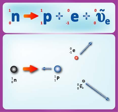 v obou případech β- rozpadu se zachovává náboj a nukleonové číslo prvku elektrony a pozitrony vznikají v