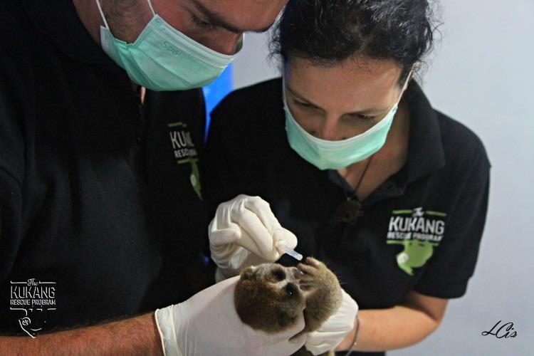 Všech šest outloňů bylo po vstupní veterinární prohlídce přesunuto do karantény.