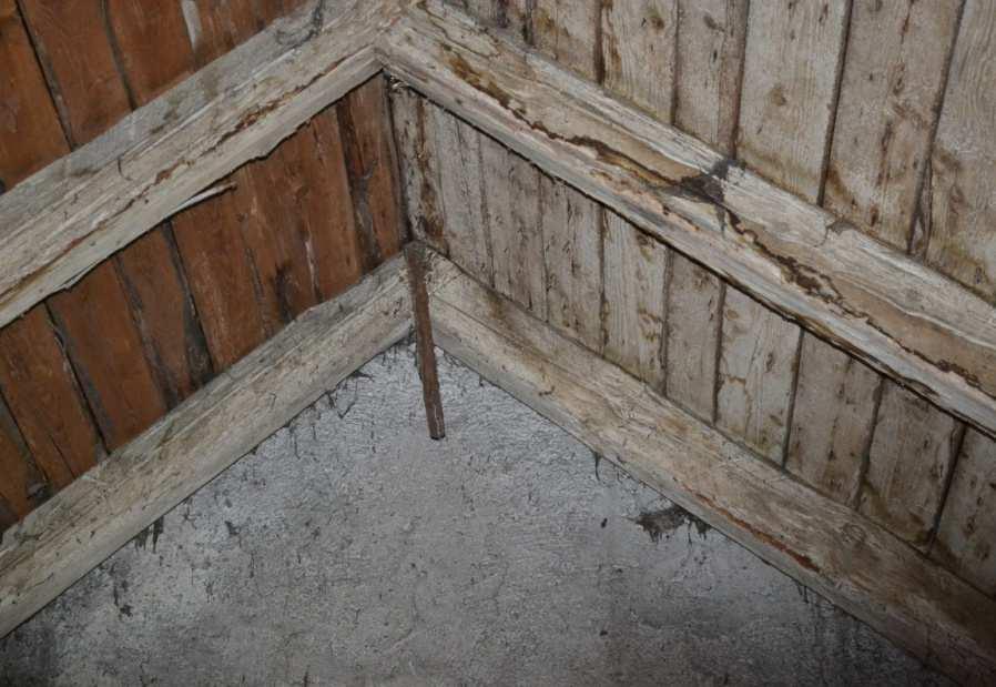 Nově přistavěné části budovy jsou přízemní, se zděnou obvodovou konstrukcí a plochou střechou, u které byly použity