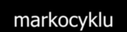strečink VODA - rychlostní loď, strečink VODA komplexně zkusit všechna tempa, BĚH volno soustředění -příklad podrobněji viz další str.