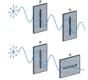 Mechanický model polarizace P - polarizátor - propouští pouze světlo kmitající v rovině štěrbiny (lineárně polarizované) A - analyzátor - ovlivňuje množství polarizovaného světla, pokud jsou štěrbiny