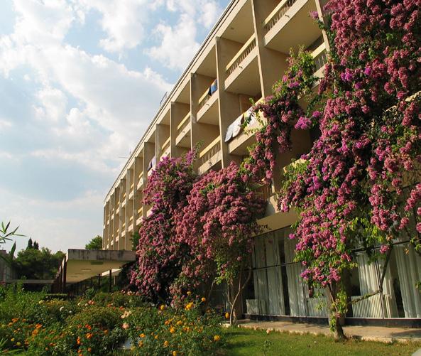 MAKARSKÁ RIVIÉRA BAŠKO POLJE HOTEL ALEM 1.