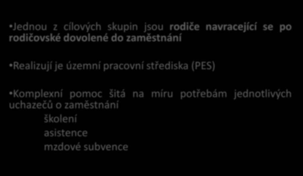 Komplexní programy pro pracovní trh (SROP 1.