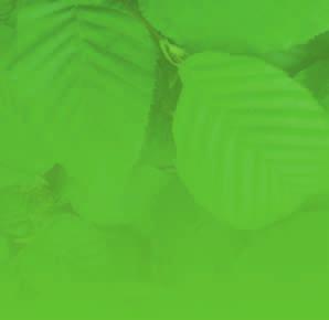 Ukryté nám nezůstanou ani houby a další