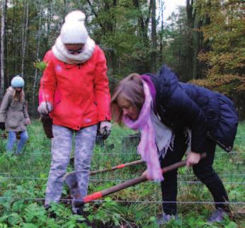 LES DŘEVINY ZÁKLADNÍ A STŘEDNÍ ŠKOLY NAŠE DŘEVINY Poznávání druhů dřevin všemi smysly, strom jako živý organismus, jeho životní pochody,