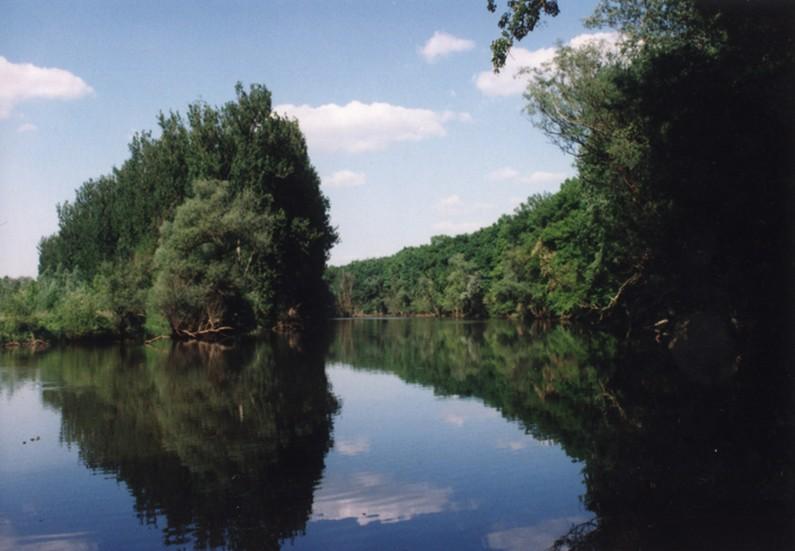 Ohrozenosť biotopov: - eutrofizácia a znečistenie vôd, narušenie vodného režimu - regulácie vodných tokov, napriamovanie tokov - zánik korytotvornej činnosti -