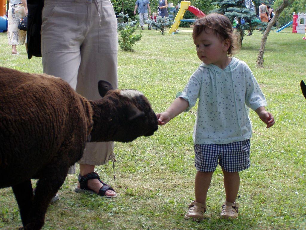 sami obrazu svému. Bylo to úžasné. Vlastně jsme s sebou měly takovou mini zoo.