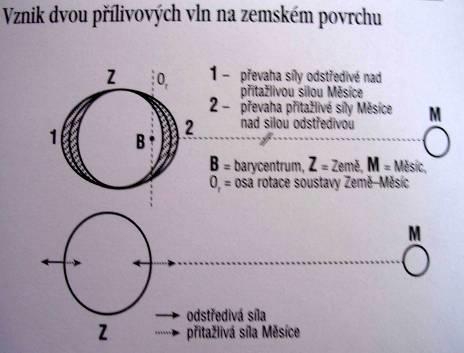 Blíženci, Rak, Lev, Panna, Váhy a Štír. Souhvězdí zvířetníku byla nazvána znameními. Dnes jsou znamení definována jako úseky na ekliptice po 30 0 od jarního bodu bez ohledu na skutečná souhvězdí.