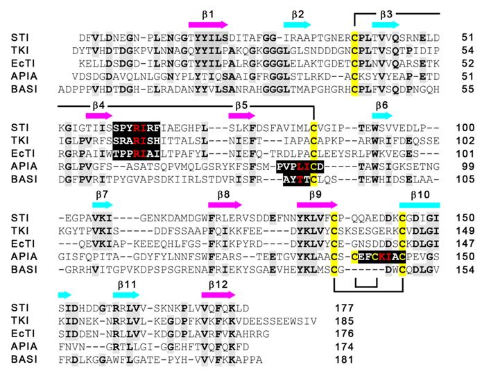 Obr. 2. Přiřazení aminokyselinových sekvencí Kunitzových inhibitorů. Analyzovány byly inhibitory, pro které je známá prostorová struktura komplexu s proteasou (tab.