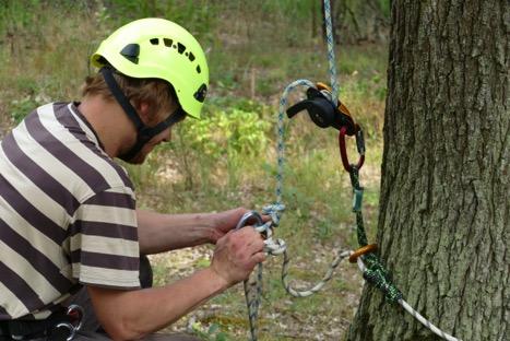 Novinky z praktické arboristiky Jak na bezpečný výstup do koruny stromů?