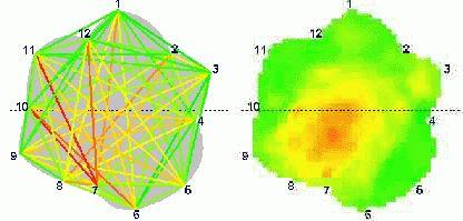 Obr. (vlevo) (čáry) KORUNA 3Ka Fluorescence fyziologického výškově deficience rychlá, měření atd. hodnocení poškození 3Kb LAI listů plochy bezrozměrná č.