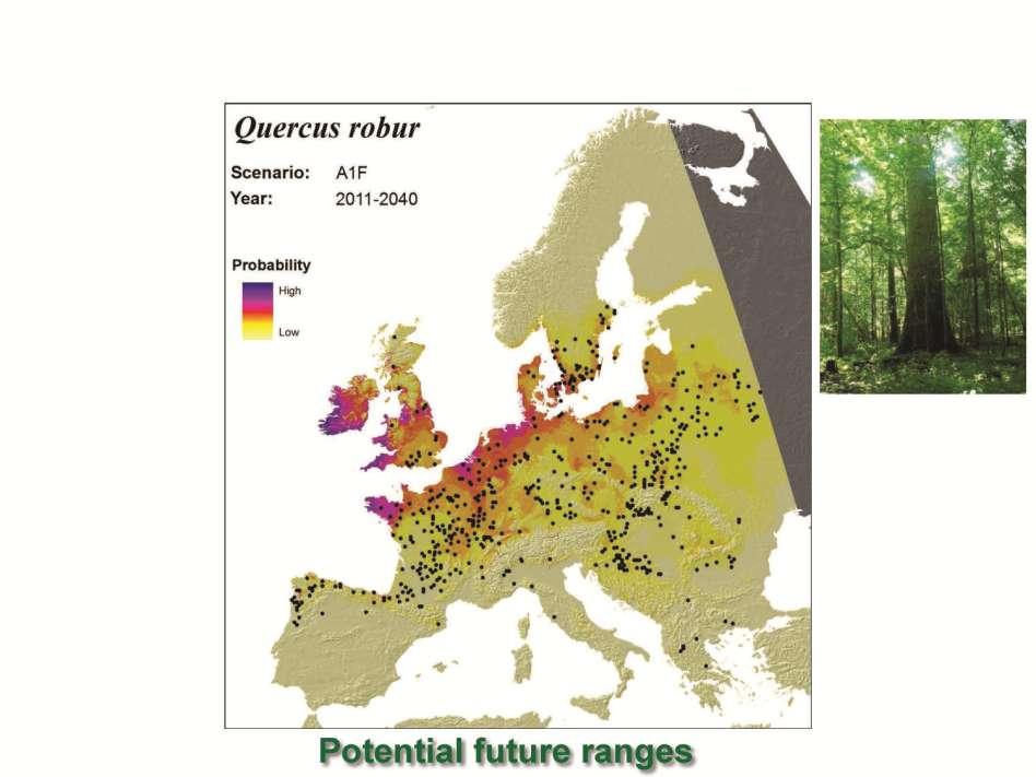 Hanewinkel et al.