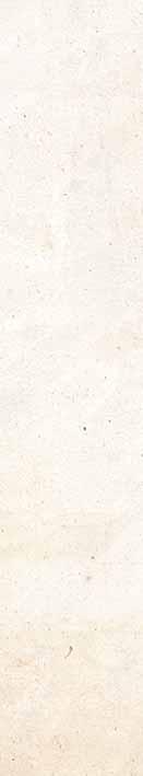 roku 1864 navštevovať Univerzitu v Zürichu, od roku 1872 v Berne