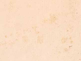 1894 Irene Barello z Tronzana.