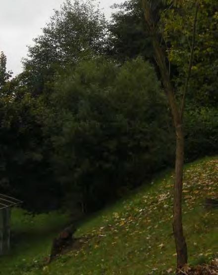 inv.č.