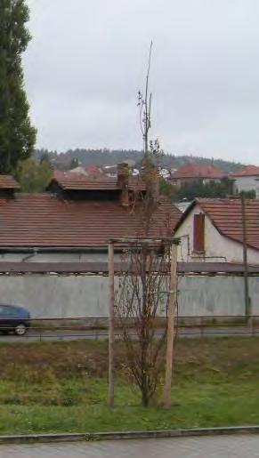 14 (nahoře) a