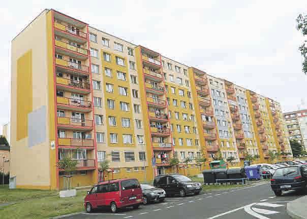 Krušnohor, zpravodaj stavebního bytového družstva 27 Největším problémem jsou sklepy JAK JSME ZAČÍNALI (133) Je pořádkumilovný.
