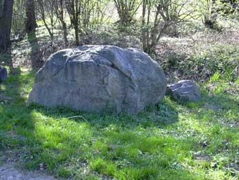 Při dobré viditelnosti (bez oparu) se jihozápadním směrem rozprostírá nádherný pohled na nejvyšší Vrchol Moravy Praděd 1492 m n m.