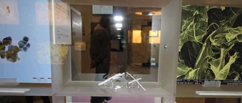 Muzeum ukazuje člověka v náhradách Biomedicínské centrum a Ústav histologie a embryologie plzeňské Lékařské fakulty měly unikátní možnost účastnit se přípravy výstavy Člověk v náhradách, aneb