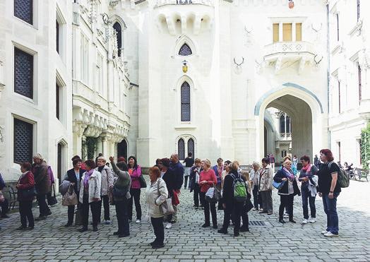 Díky umístění pivovaru můžeme nabídnout našim hostům příjemné a pohodové posezení na prostorné zahradní terase v klidu a tichu mimo ruch centra obce plánujeme také dětské hřiště umístěné hned vedle