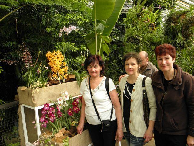 botanické zahrady Život orchidejí -