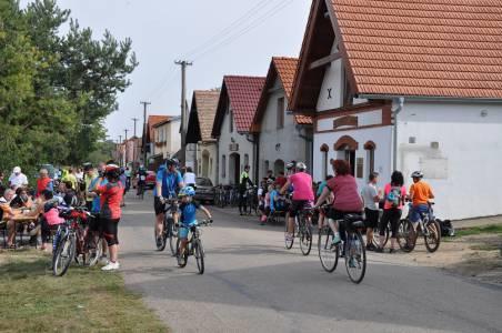 hrozny obtěžkaných vinic Znojemska. Pod výmluvným názvem Tour de burčák jsou připraveny dvě trasy pro cyklisty a jedna pro pěší.