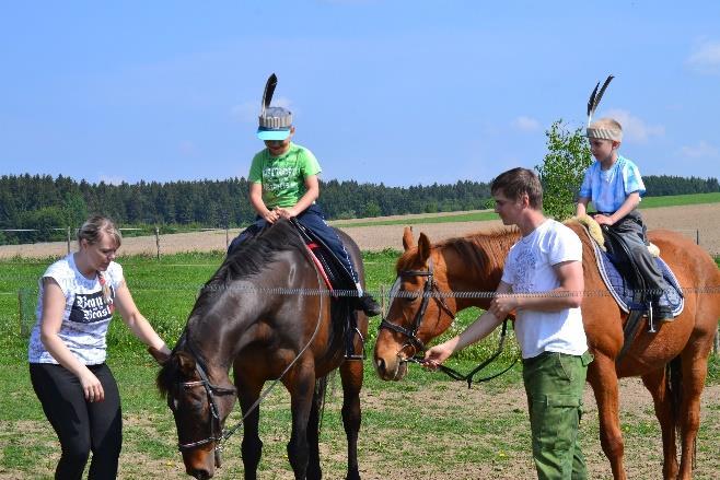 koníků