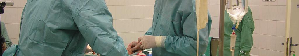 Druhá série operací byla provedena v roce 2008 na dvou prasnicích o hmotnosti 80 kg.
