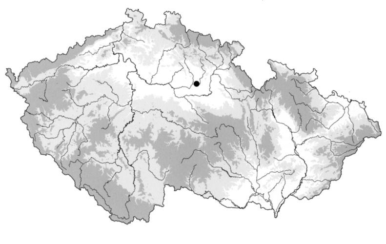 Archeologie ve středních Čechách 18, 2014, str. 869 873 Luxusní karolínská průvlečka a nákončí z kosiček, okr. Hradec králové naďaprofantová 1.