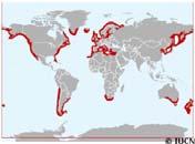 potravy Zdroj: http://atlanticsharks.