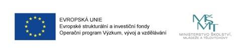 Téma 2: Vnímání a organizace prostoru Návrh obsahu aktivit zaměřených na dosahování cílů vzdělávacího modulu Eva Nováková, Eva