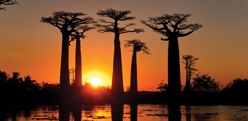 MADAGASKAR MADAGASKAR Madagaskar je unikátní ostrov, kde se zastavil čas.