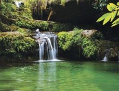 světě. Madagaskar ještě není zcela objeven a poznamenán turismem. Na jeho území se nachází bezpočet národních parků (7 z nich v UNESCO).